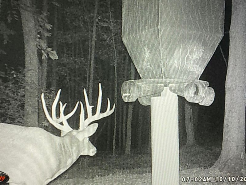 9268 State Route 41, Aberdeen, OH 45101 Photo 72