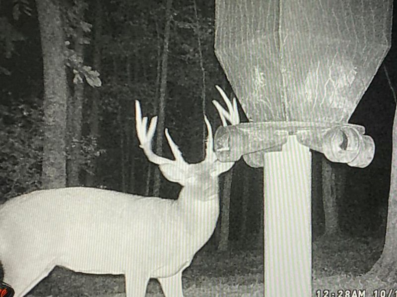 9268 State Route 41, Aberdeen, OH 45101 Photo 73