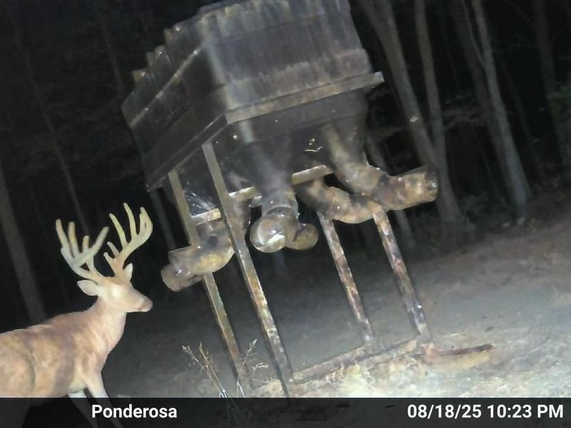 9268 State Route 41, Aberdeen, OH 45101 Photo 74