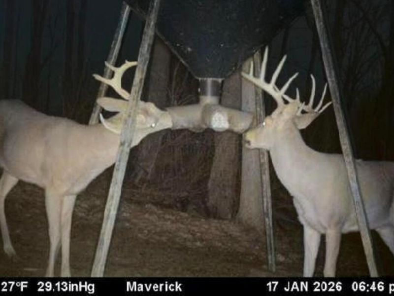 9268 State Route 41, Aberdeen, OH 45101 Photo 75