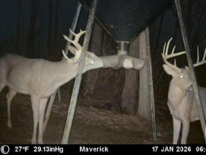 9268 State Route 41, Aberdeen, OH 45101 Photo 76