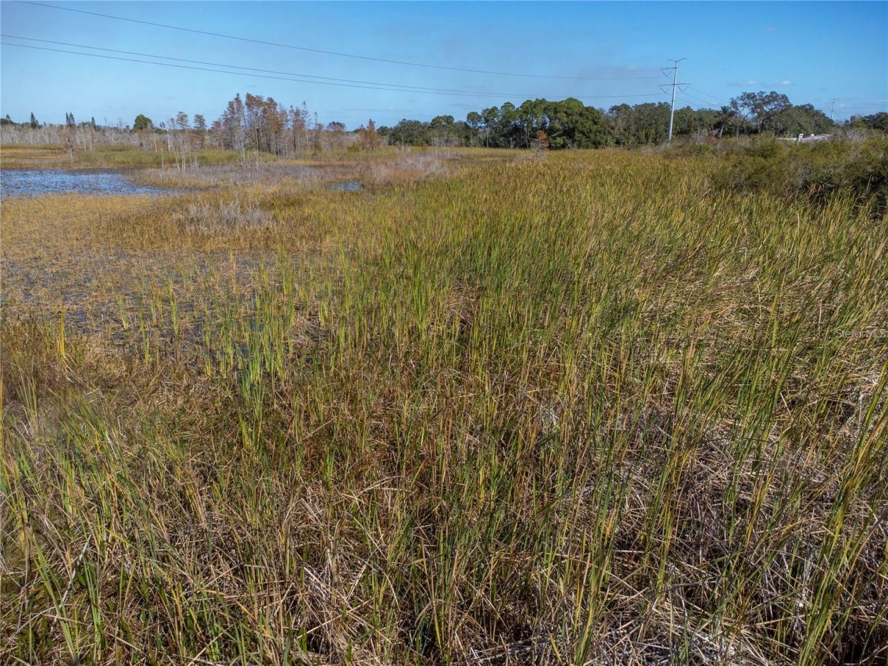 No Address Assigned, Holiday, FL 34691 Photo