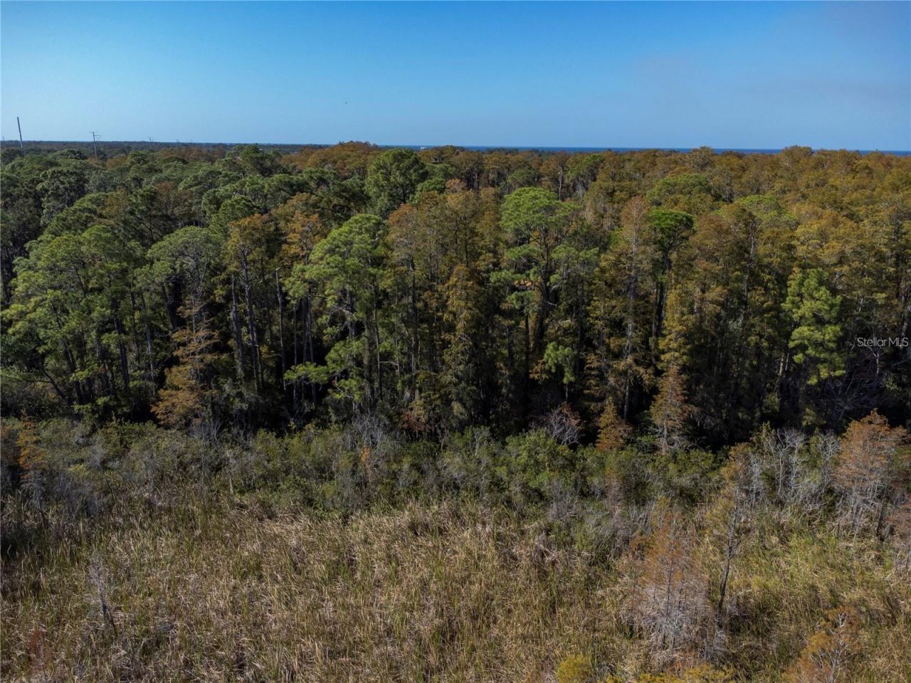 No Address Assigned, Holiday, FL 34691 Photo