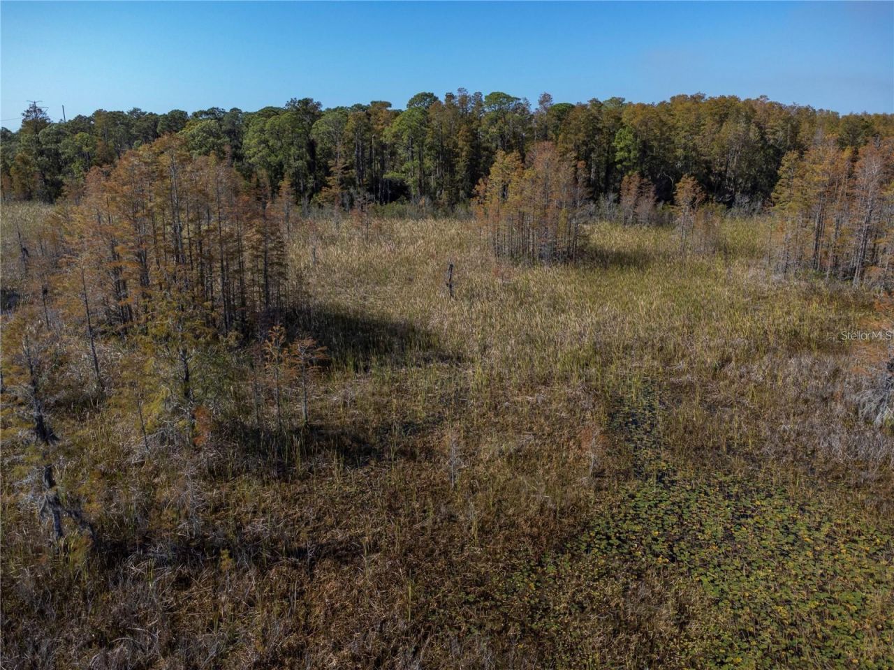 No Address Assigned, Holiday, FL 34691 Photo