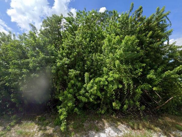 1398 Parham Avenue SE, Palm Bay, FL 32909