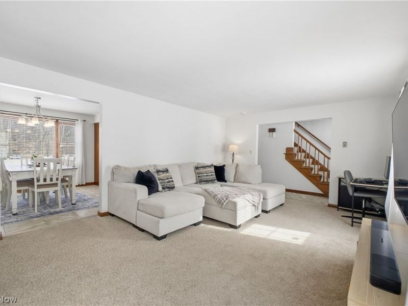 1016 W Pine Lake Road, North Lima, OH 44452 Photo 6