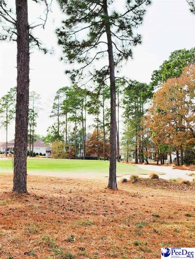 309 Dormie Lane Photo 31