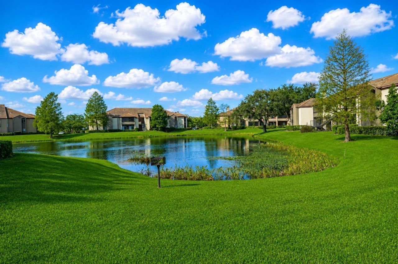 10263 Gandy Boulevard N, Unit 602, Saint Petersburg, FL 33702 Photo