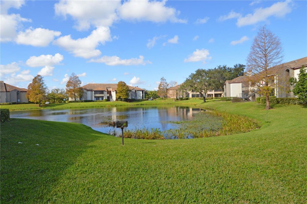 10263 Gandy Boulevard N, Unit 602, Saint Petersburg, FL 33702 Photo