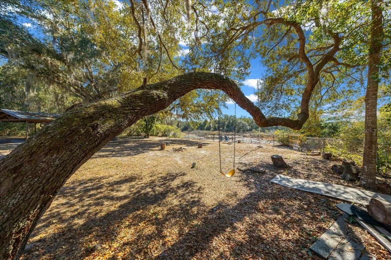 15120 NE 240th Court, Salt Springs, FL 32134 Photo