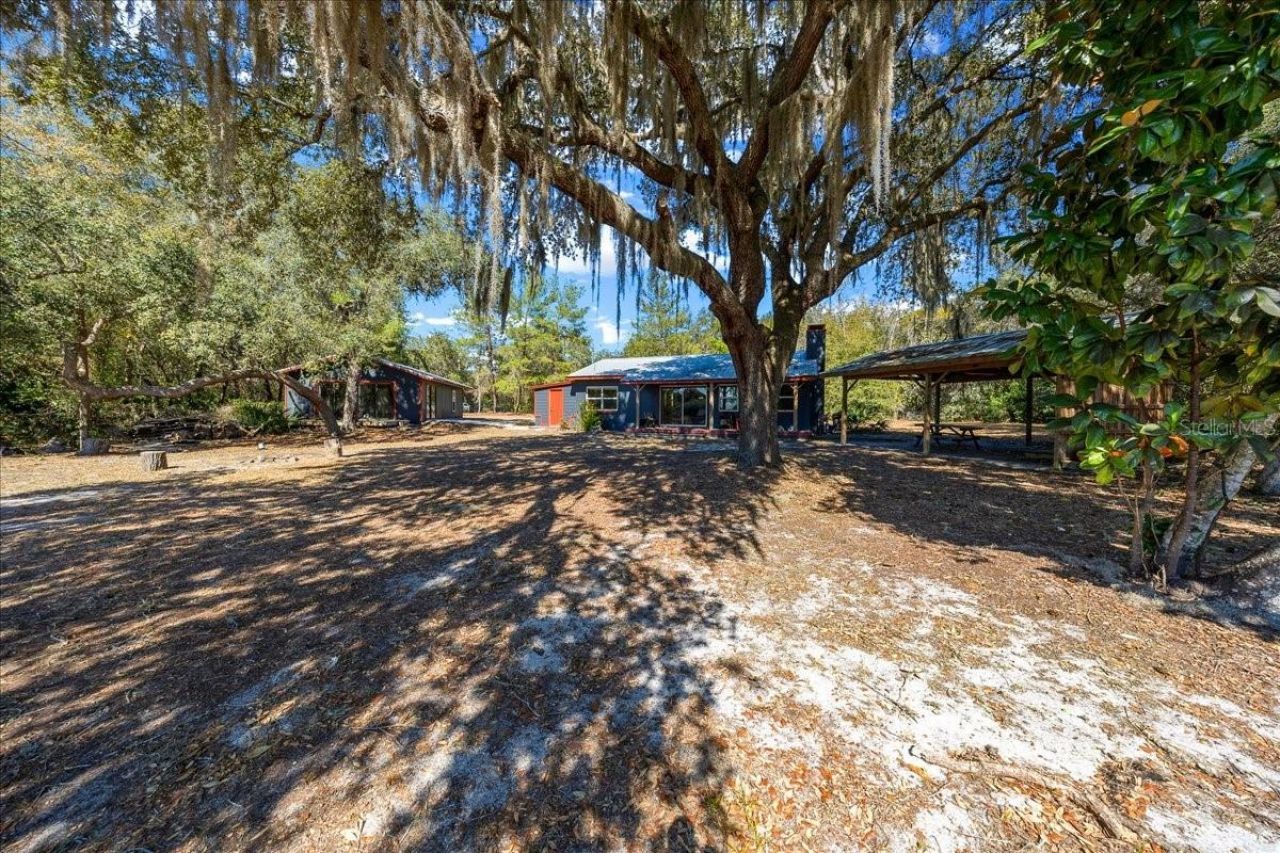 15120 NE 240th Court, Salt Springs, FL 32134 Photo