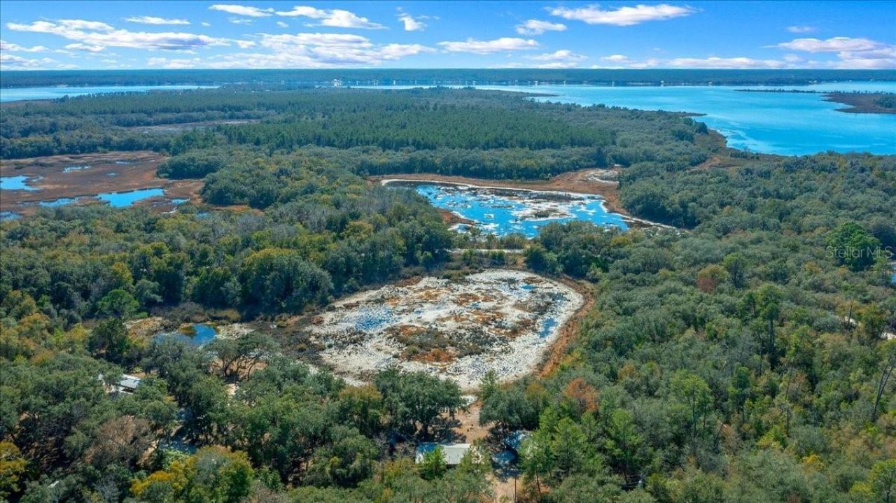 15120 NE 240th Court, Salt Springs, FL 32134 Photo