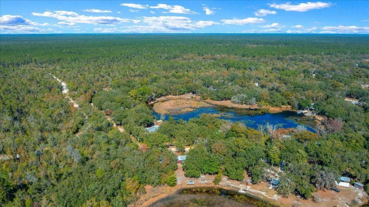 15120 NE 240th Court, Salt Springs, FL 32134 Photo