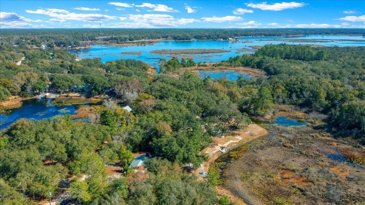 15120 NE 240th Court, Salt Springs, FL 32134 Photo