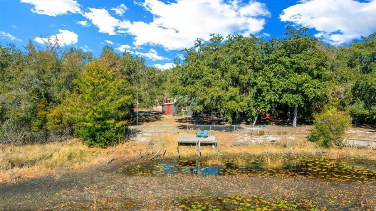 15120 NE 240th Court, Salt Springs, FL 32134 Photo