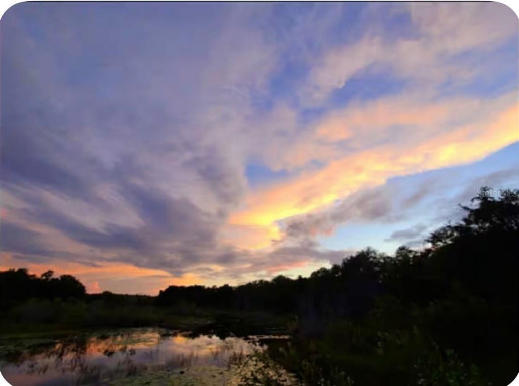 15120 NE 240th Court, Salt Springs, FL 32134 Photo