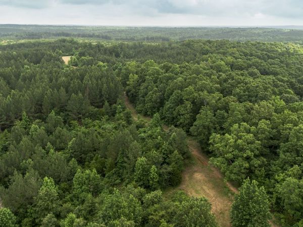 115 Baudy James Road , Cedar Grove, TN 38321