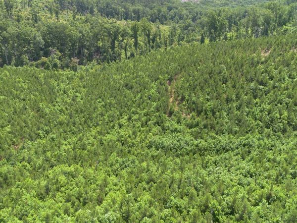 0 Low Gap Road , Sugar Tree, TN 38380