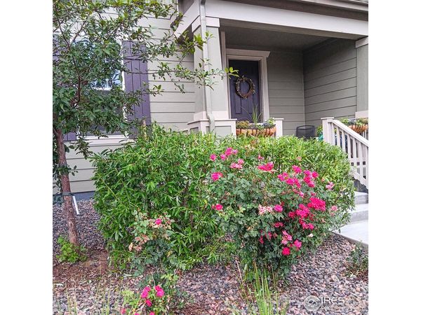 1154 Anker Dr, Erie, CO 80516