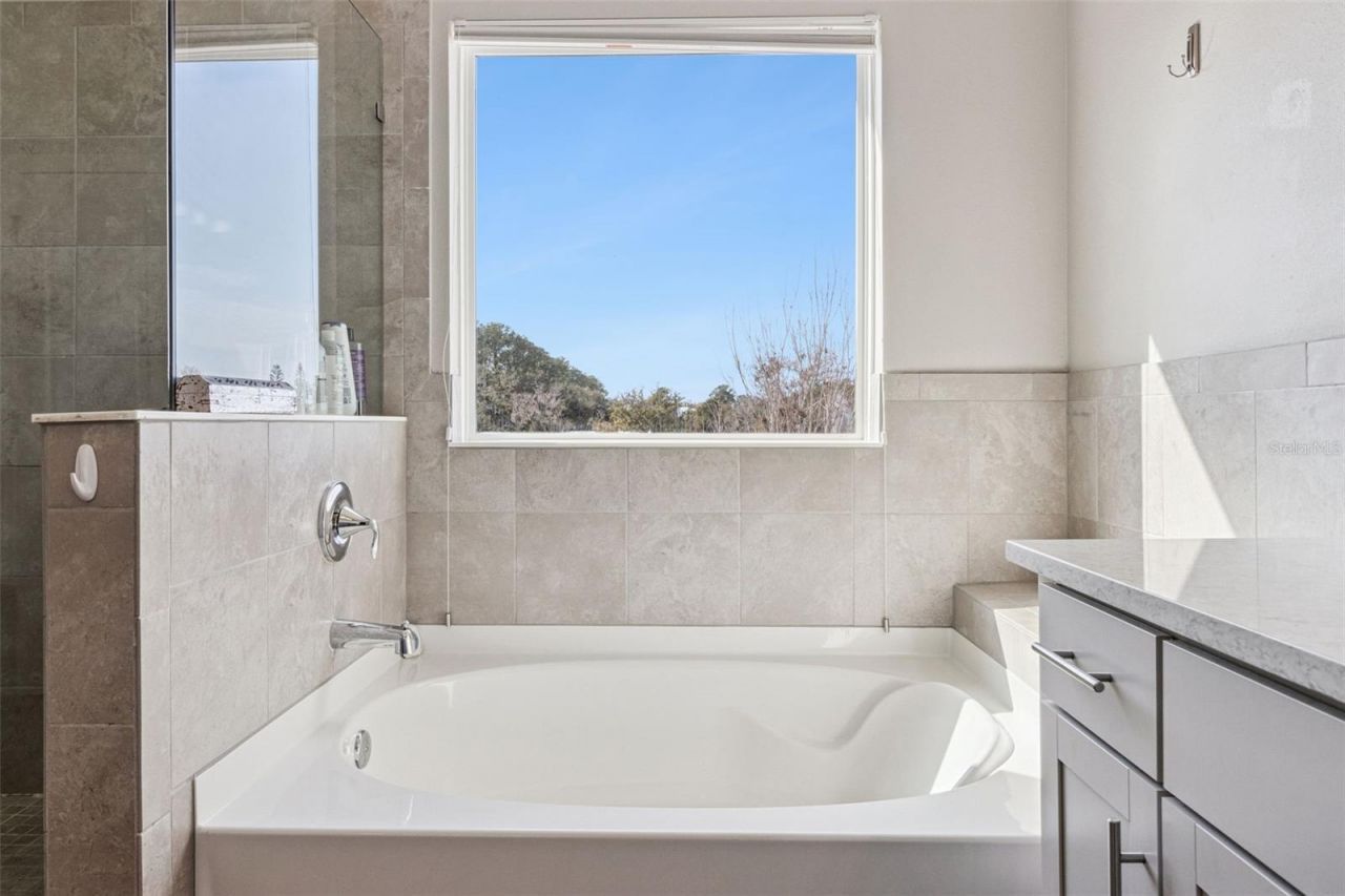 12506 Candleberry Circle, Tampa, FL 33635 Photo