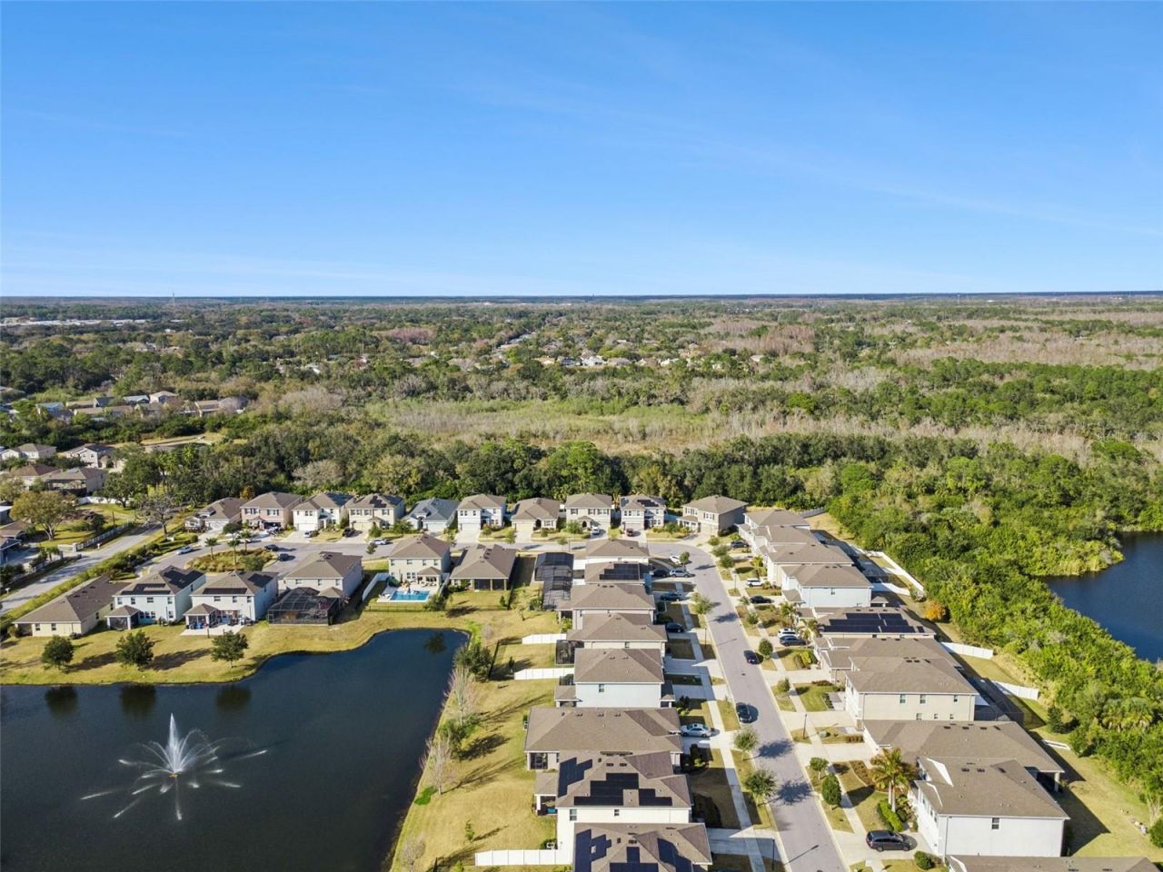 12506 Candleberry Circle, Tampa, FL 33635 Photo