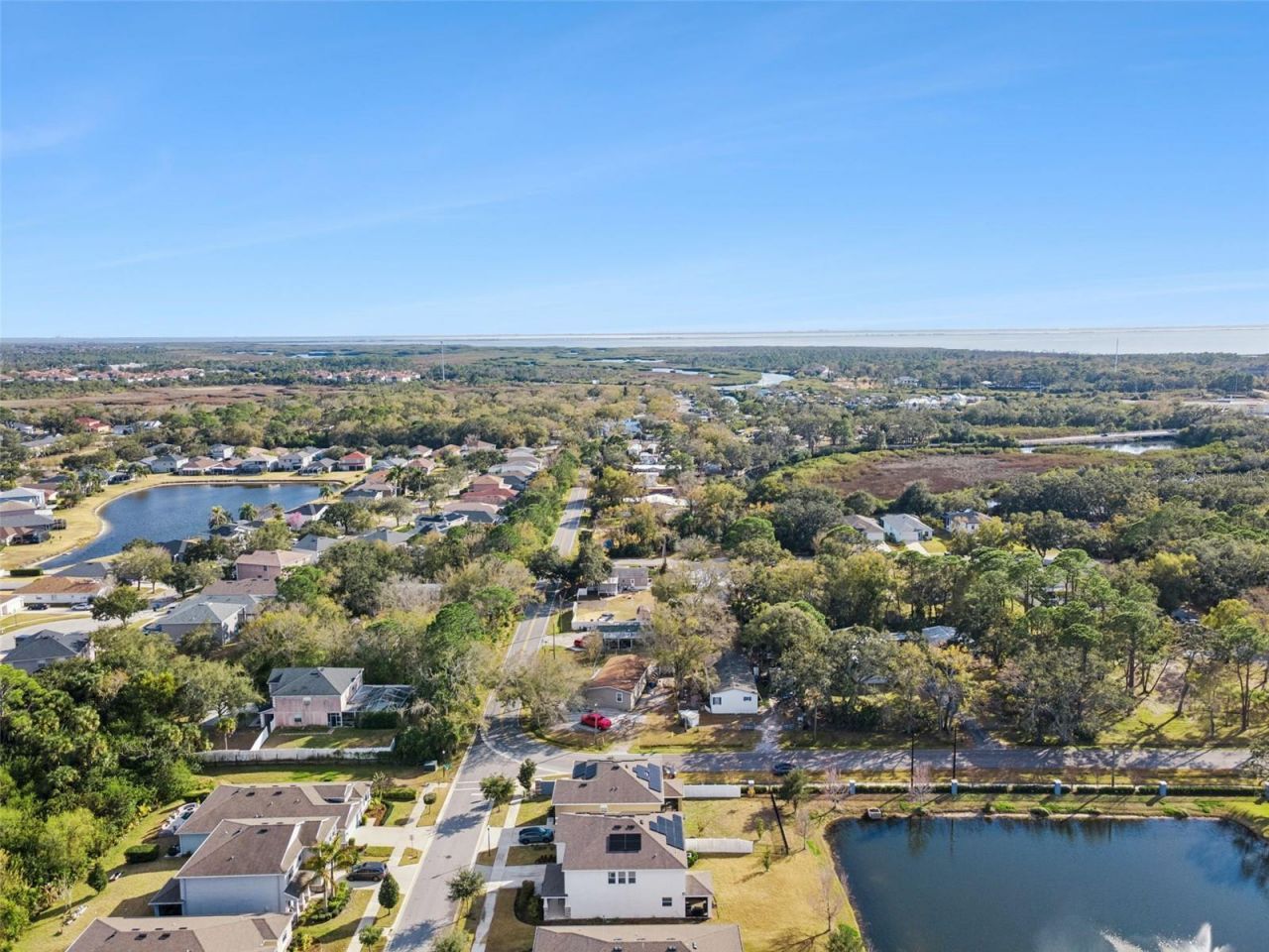 12506 Candleberry Circle, Tampa, FL 33635 Photo