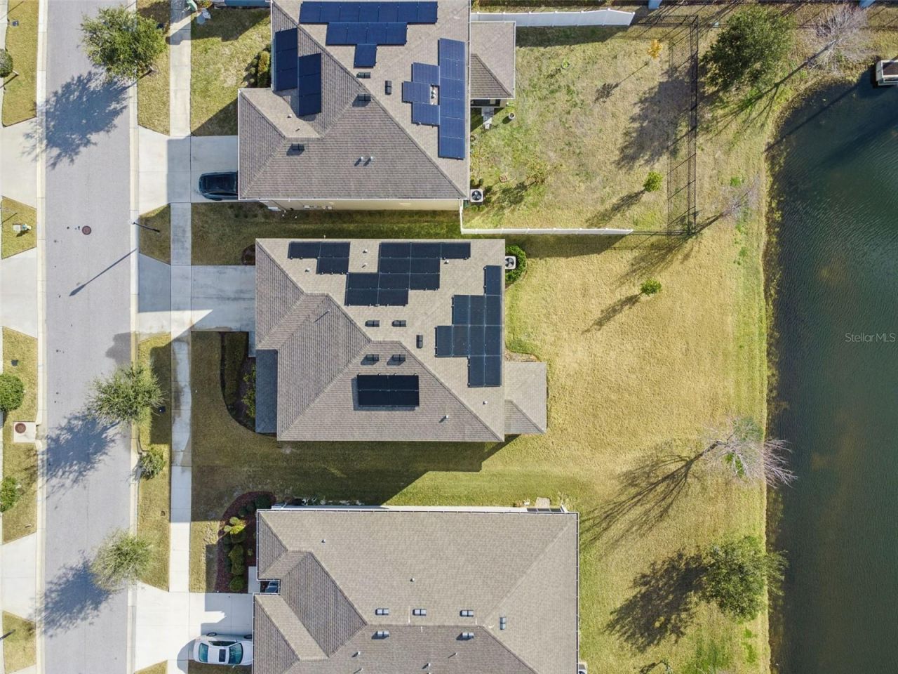 12506 Candleberry Circle, Tampa, FL 33635 Photo