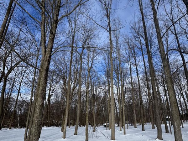 V/L Timberlane Drive, Jones, MI 49061