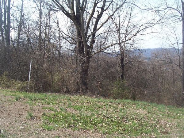 Lot 142 Low Valley Road, Dandridge, TN 37725