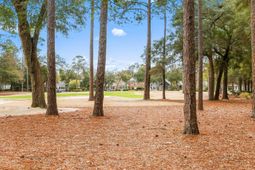 921 Tidewater Dr. photo 4