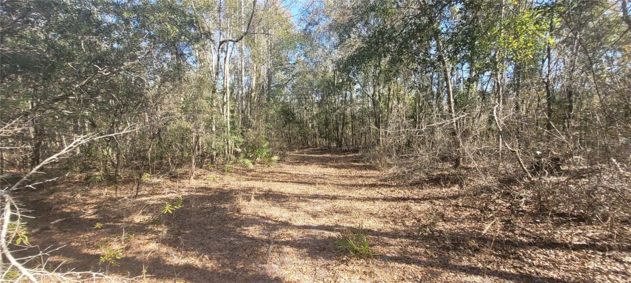 Sw Sr751, Jasper, FL 32052 Photo