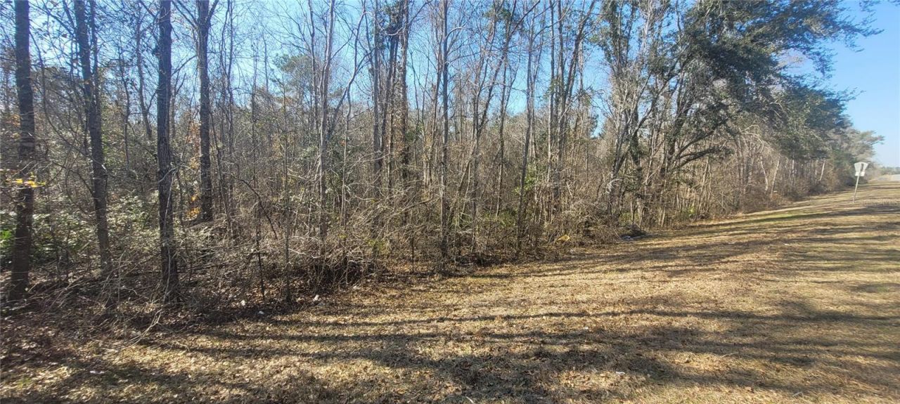 Sw Sr751, Jasper, FL 32052 Photo