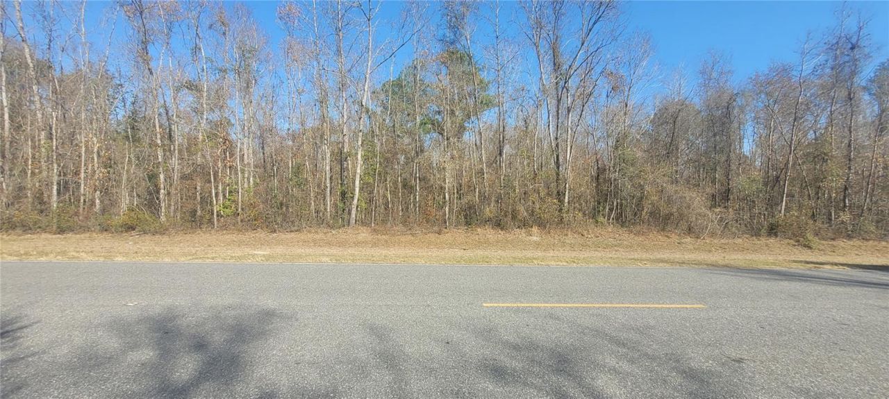 Sw Sr751, Jasper, FL 32052 Photo