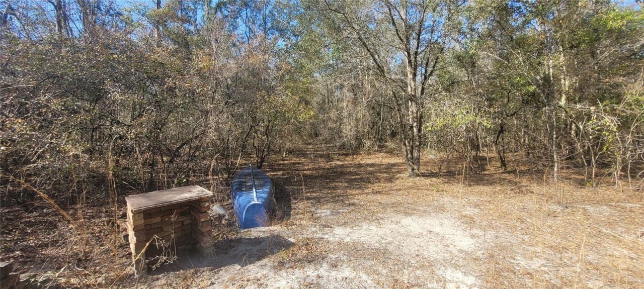 Sw Sr751, Jasper, FL 32052 Photo