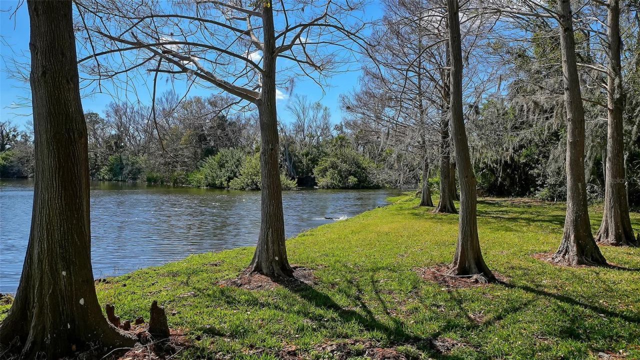 4906 Lakescene Place, Sarasota, FL 34243 Photo