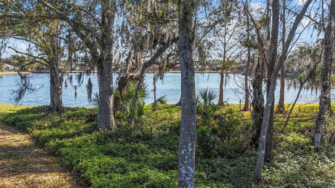 4906 Lakescene Place, Sarasota, FL 34243 Photo