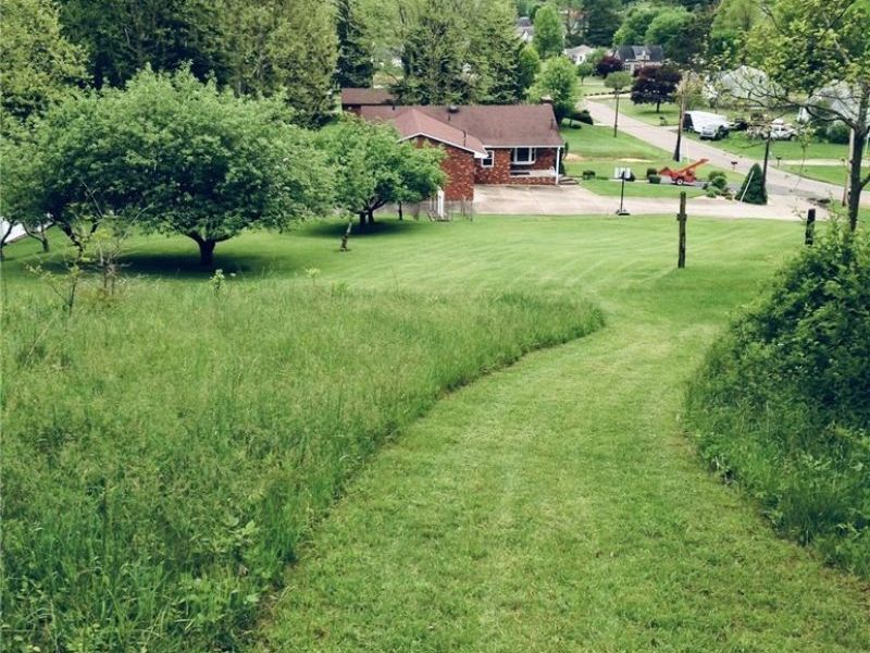 976 Braun Road, Belpre, OH 45714 Photo 6