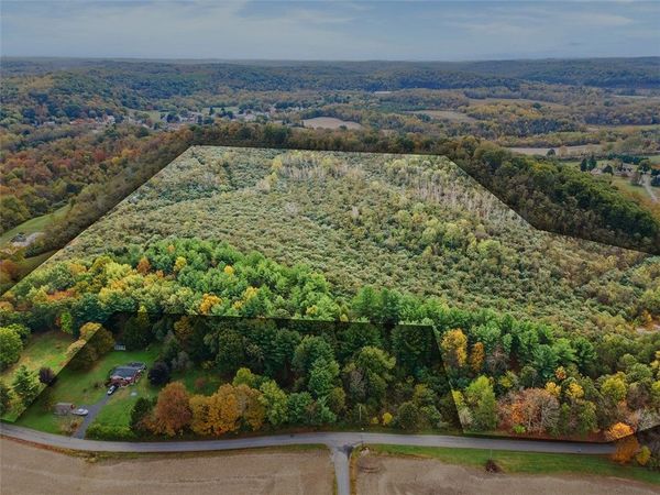 000 White Church Rd, New Galilee, PA 16141