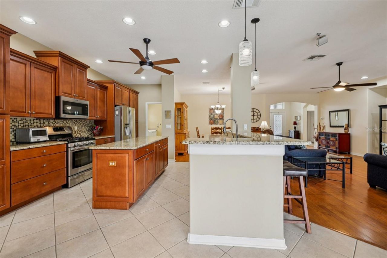 12606 River Birch Drive, Riverview, FL 33569 Photo