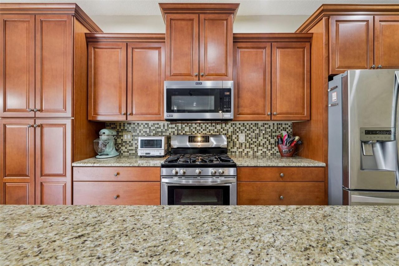 12606 River Birch Drive, Riverview, FL 33569 Photo