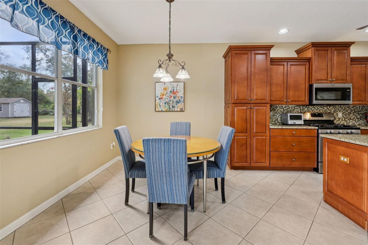 12606 River Birch Drive, Riverview, FL 33569 Photo