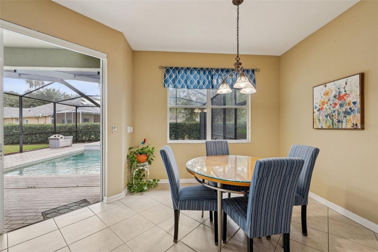 12606 River Birch Drive, Riverview, FL 33569 Photo