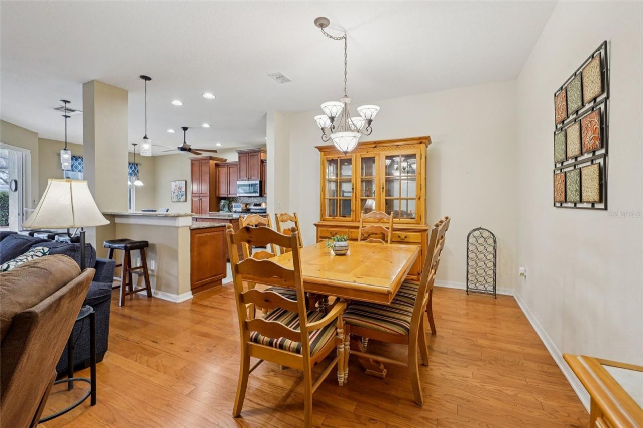 12606 River Birch Drive, Riverview, FL 33569 Photo