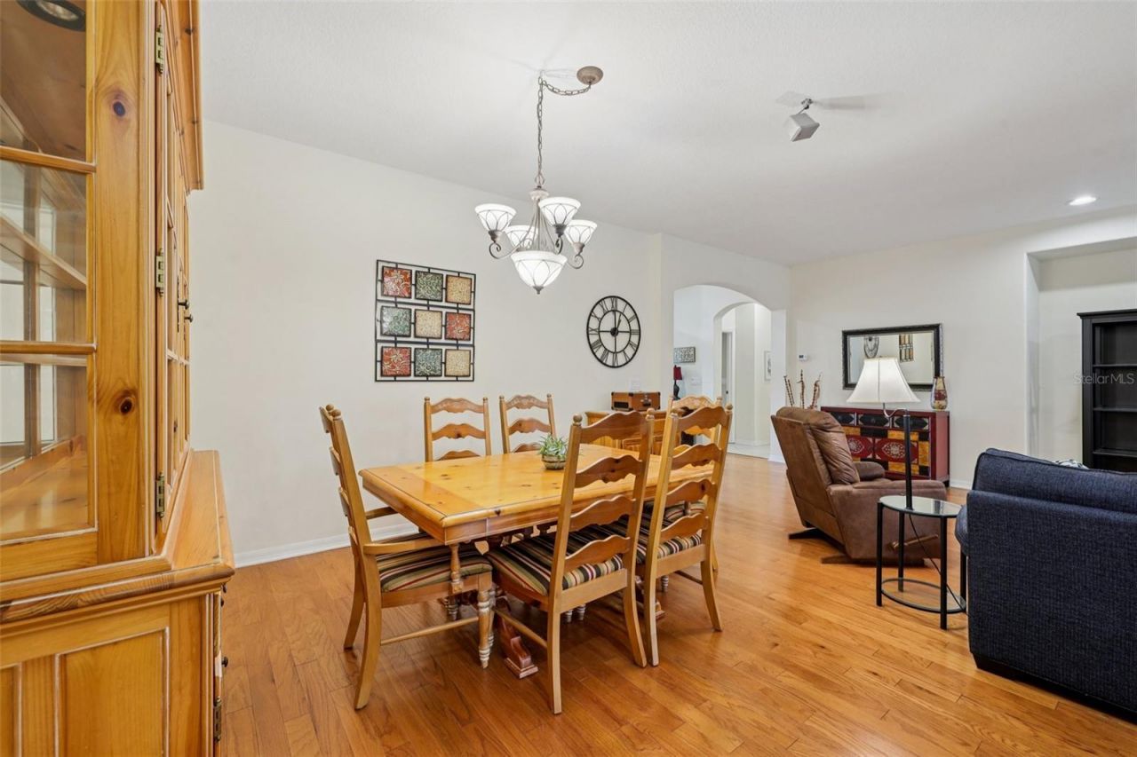 12606 River Birch Drive, Riverview, FL 33569 Photo