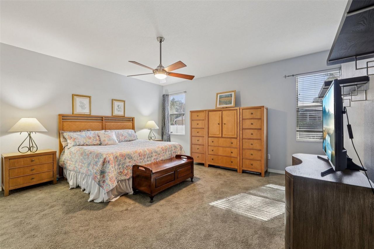 12606 River Birch Drive, Riverview, FL 33569 Photo