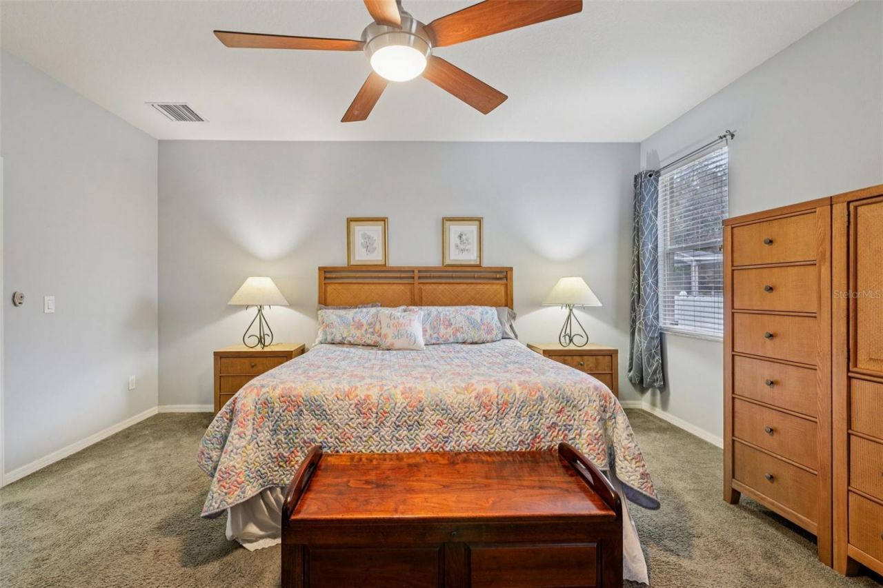 12606 River Birch Drive, Riverview, FL 33569 Photo