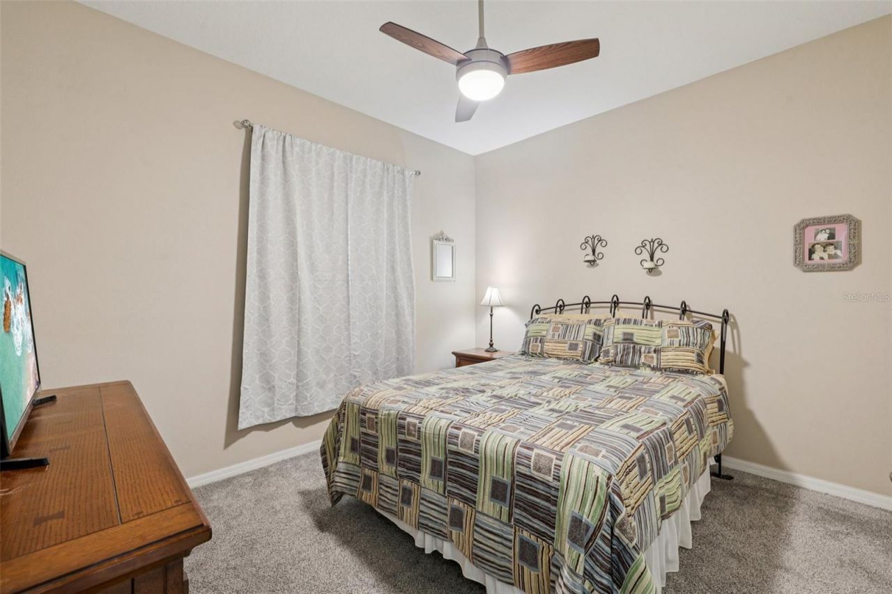 12606 River Birch Drive, Riverview, FL 33569 Photo