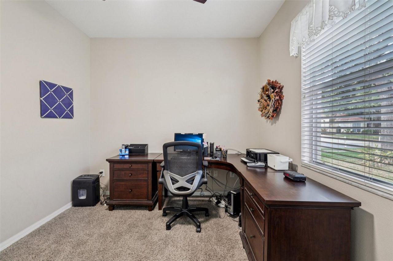 12606 River Birch Drive, Riverview, FL 33569 Photo