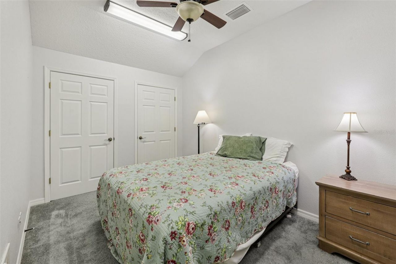 12606 River Birch Drive, Riverview, FL 33569 Photo