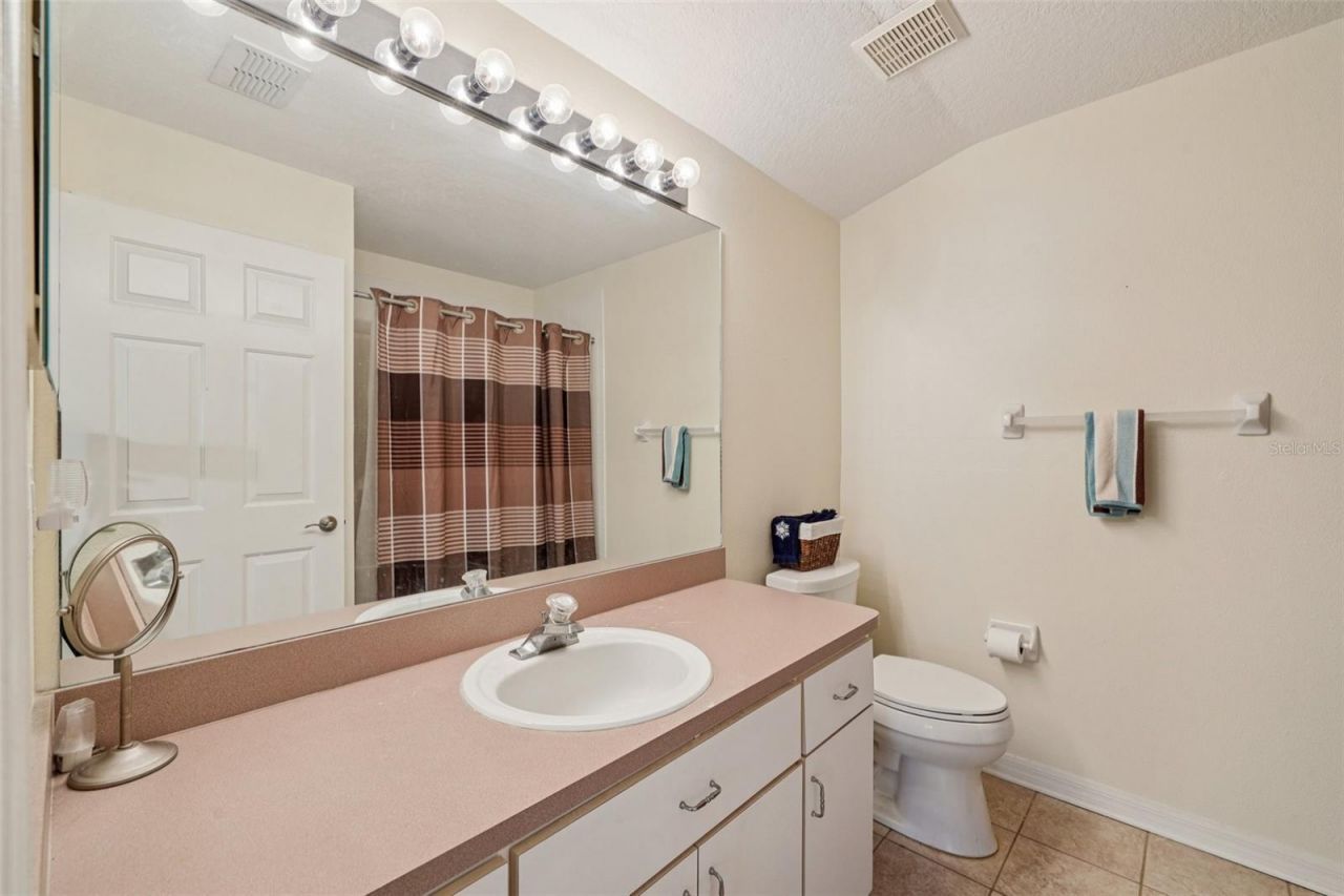 12606 River Birch Drive, Riverview, FL 33569 Photo
